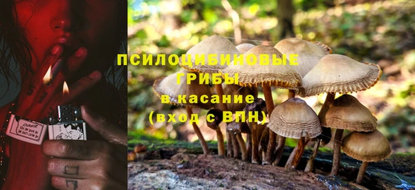 герыч Горняк
