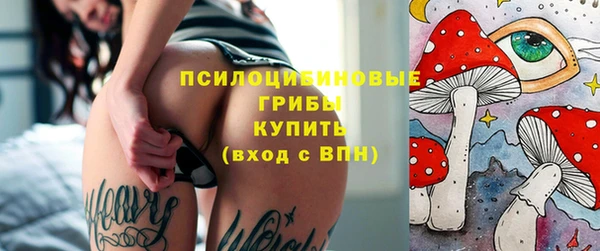 прущая мука Гусев