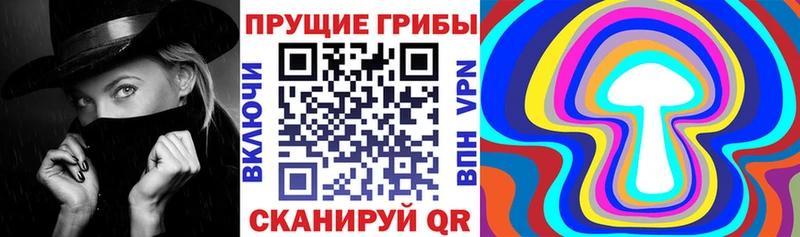 нарко площадка официальный сайт  Нахабино  Псилоцибиновые грибы Psilocybine cubensis  MEGA зеркало 
