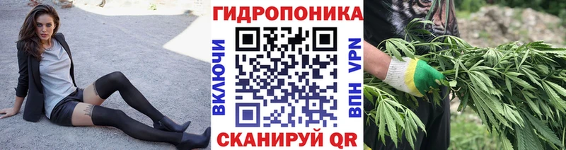 дарнет шоп  Нахабино  Бошки марихуана SATIVA & INDICA 